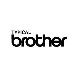typical brother,typical brother商标注册信息-传众