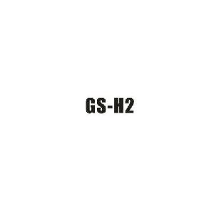 GS-H2