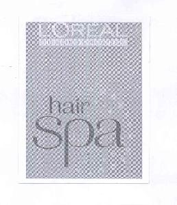 L＇OREAL PROFESSIONNEL HAIR SPA