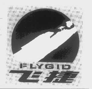 飞捷;FLYGID
