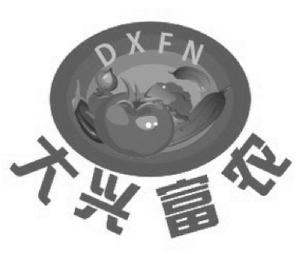 大兴富农 DXFN
