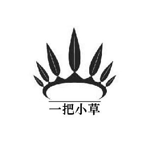 0 申请人名称(中文 上海露易康泰禧实业有限公司