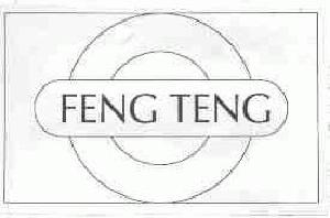 FENG TENG