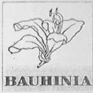 BAUHINIA