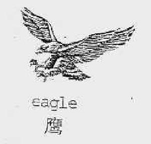 鹰;EAGLE